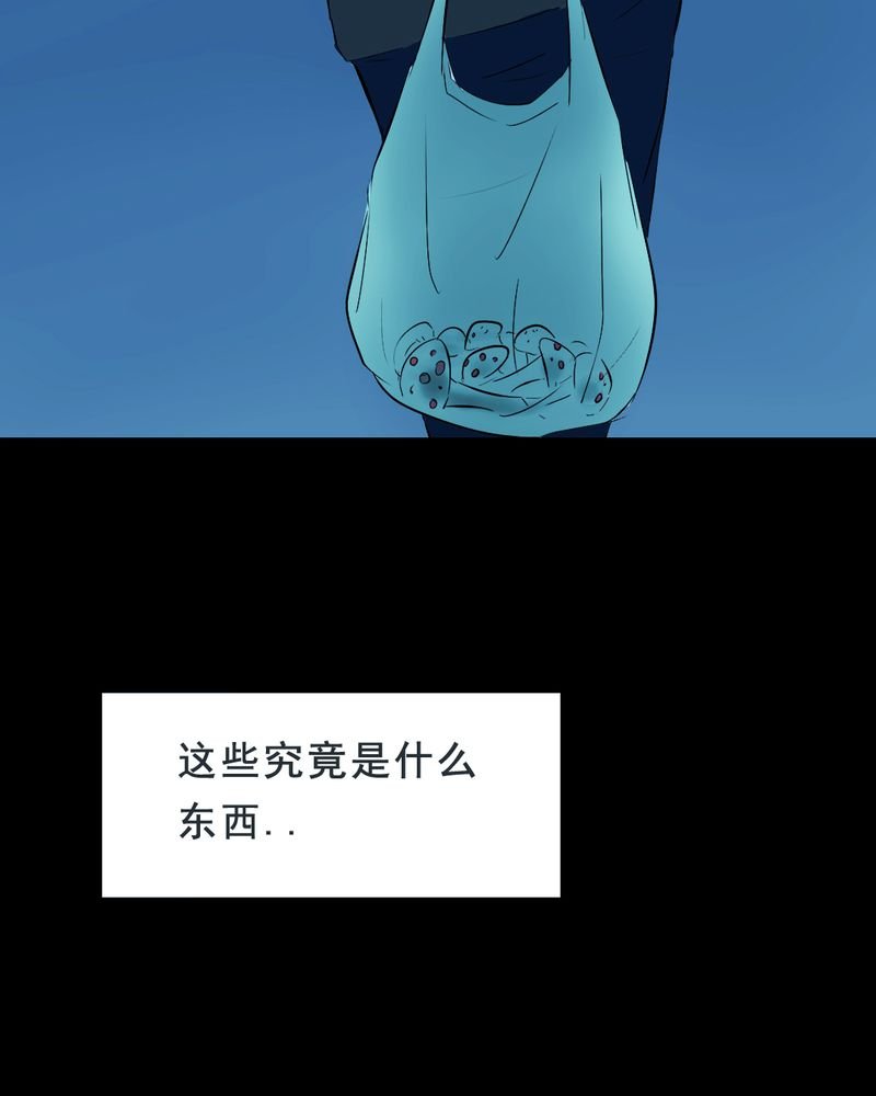 第21章：蘑菇（二）