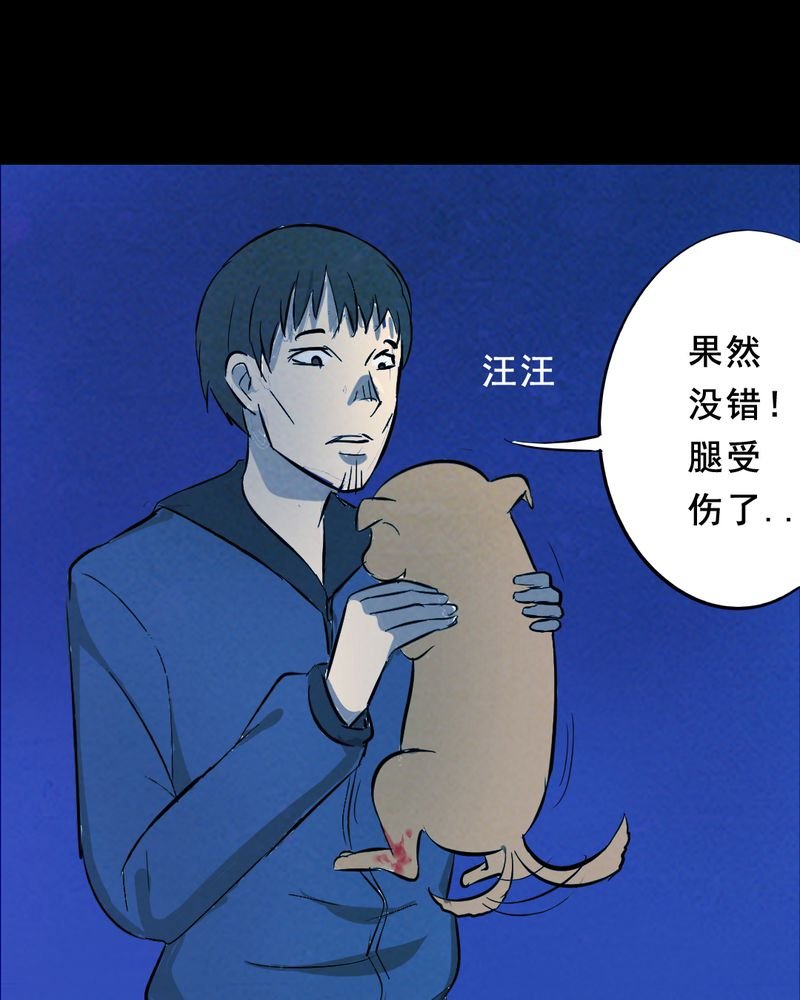 第25章：小笨（一）