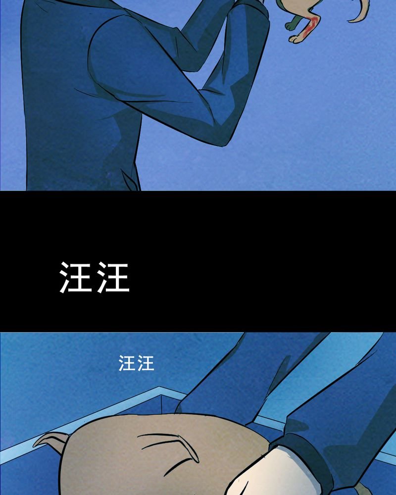 第25章：小笨（一）