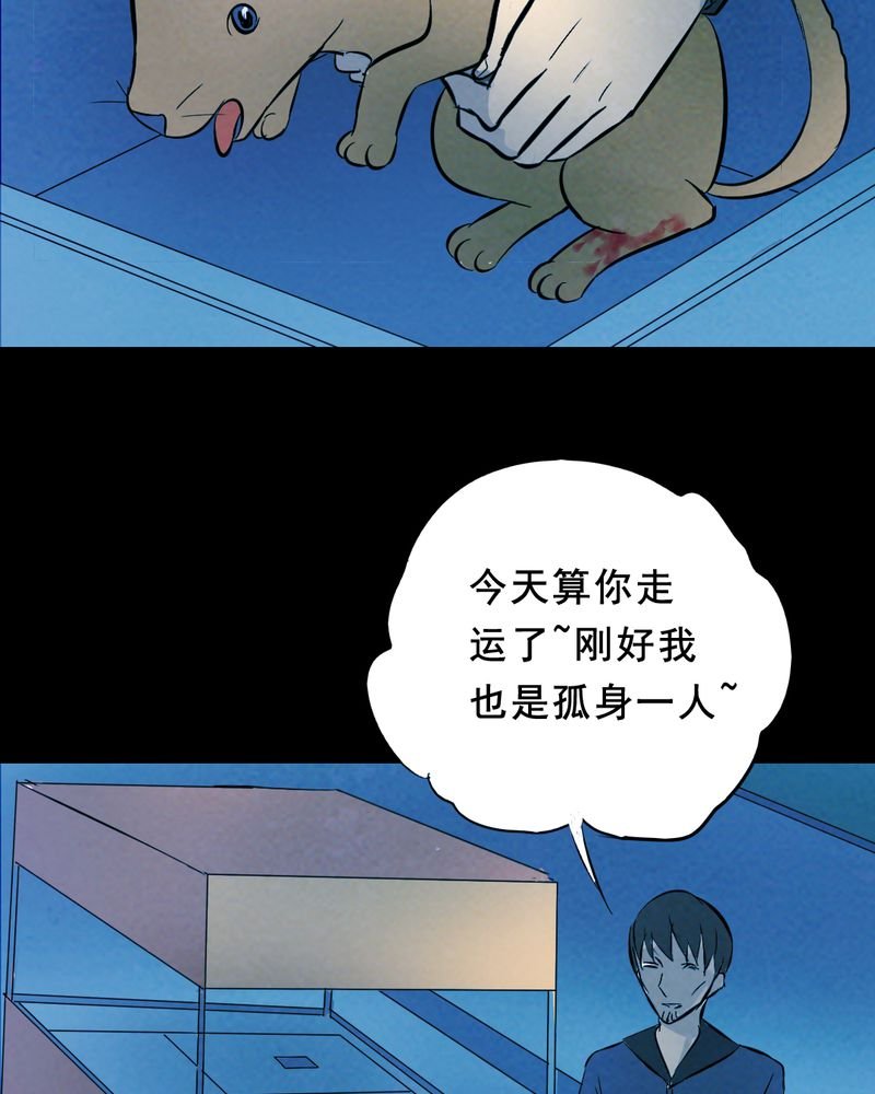 第25章：小笨（一）