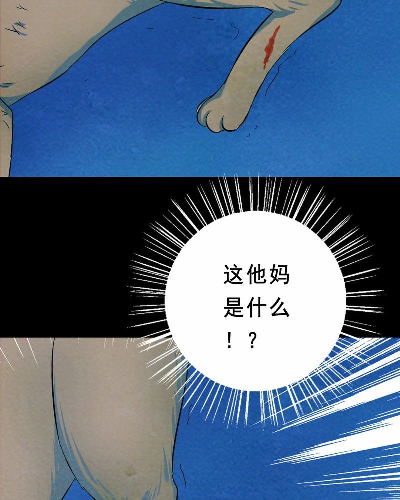 第26章：小笨（二）