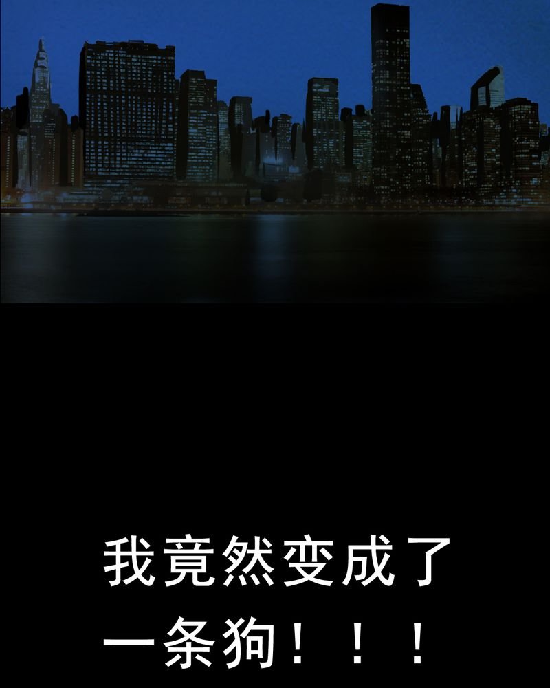 第26章：小笨（二）