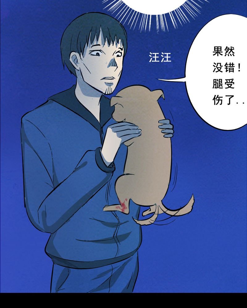 第27章：小笨（三）