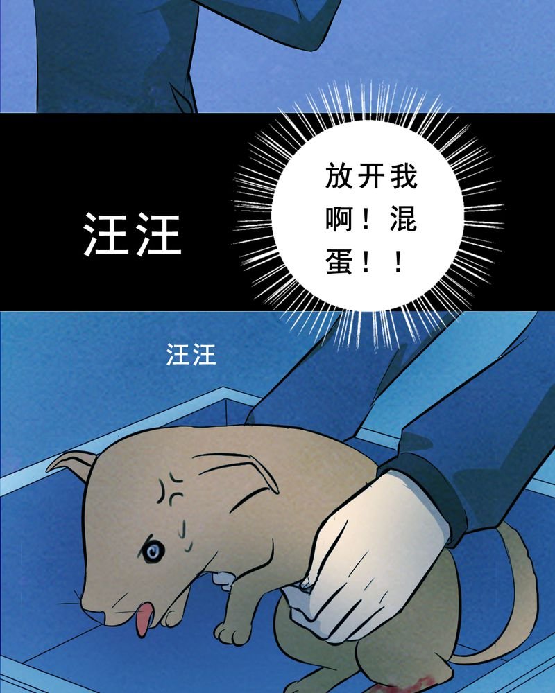 第27章：小笨（三）