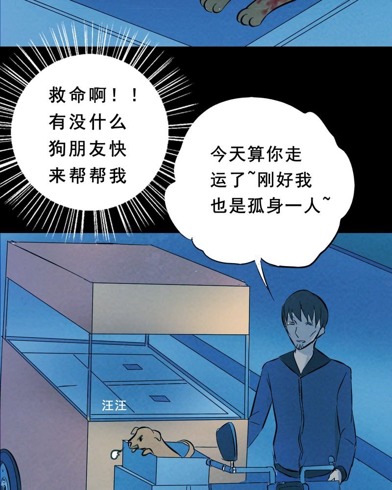 第27章：小笨（三）