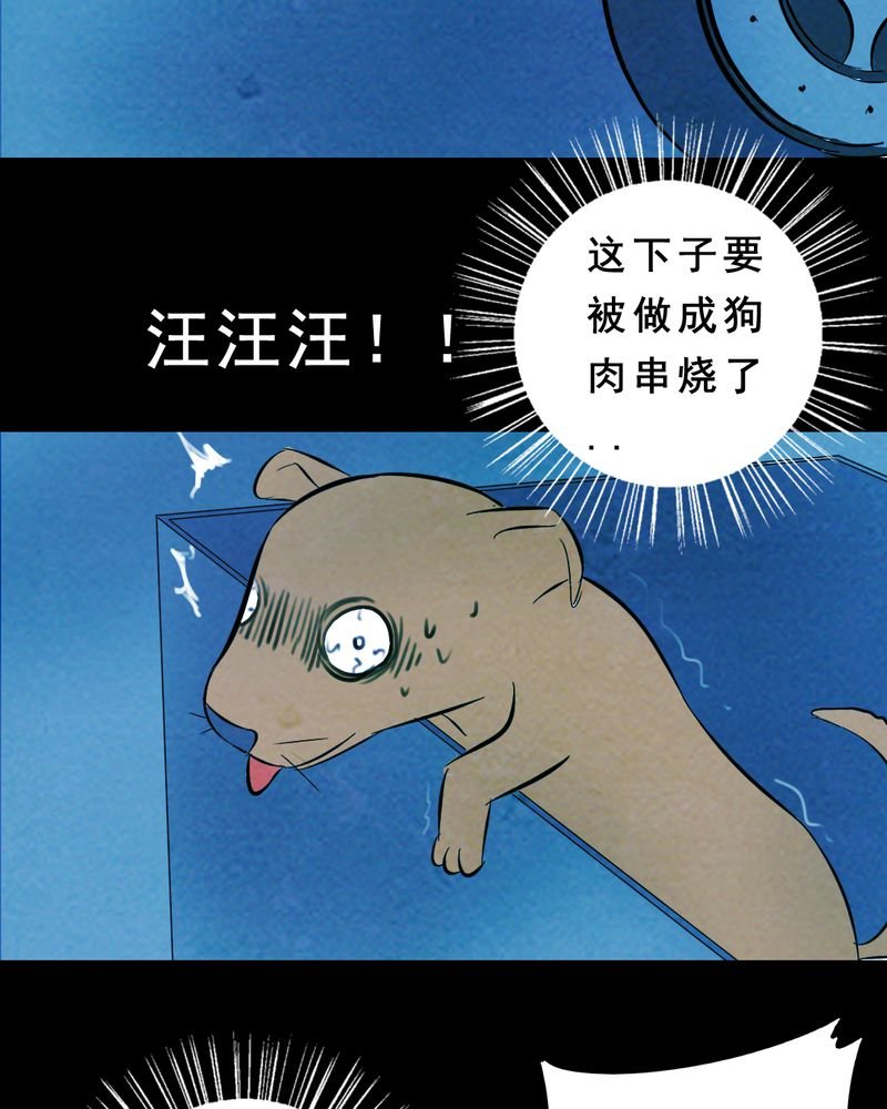 第27章：小笨（三）