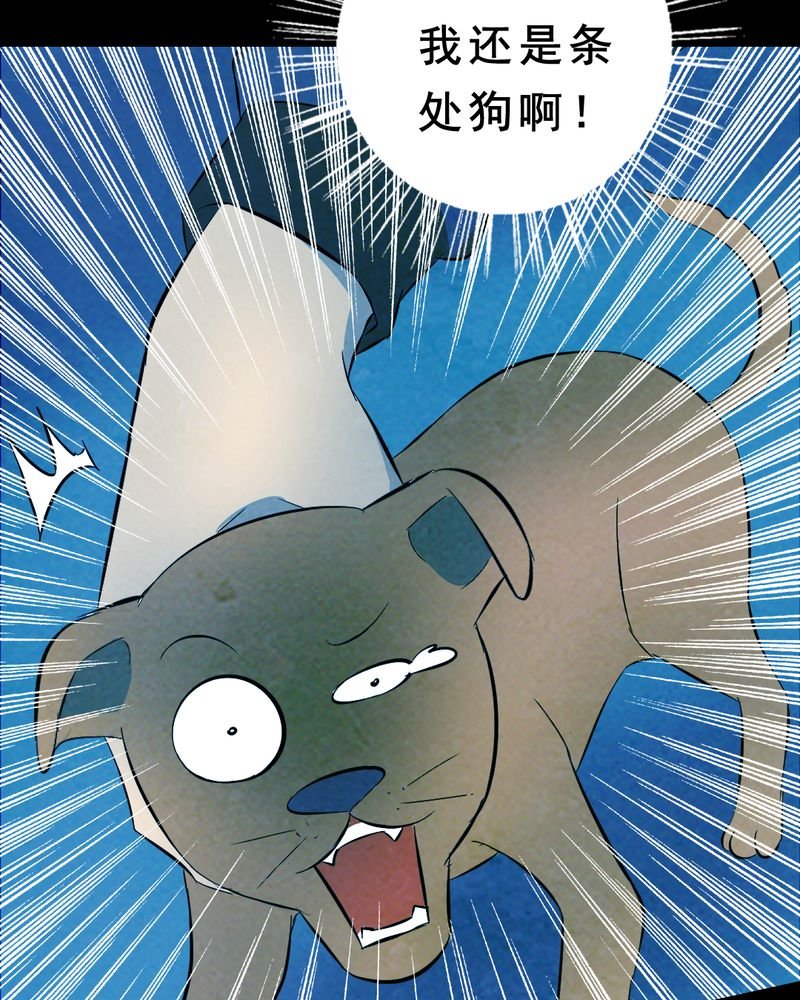 第27章：小笨（三）