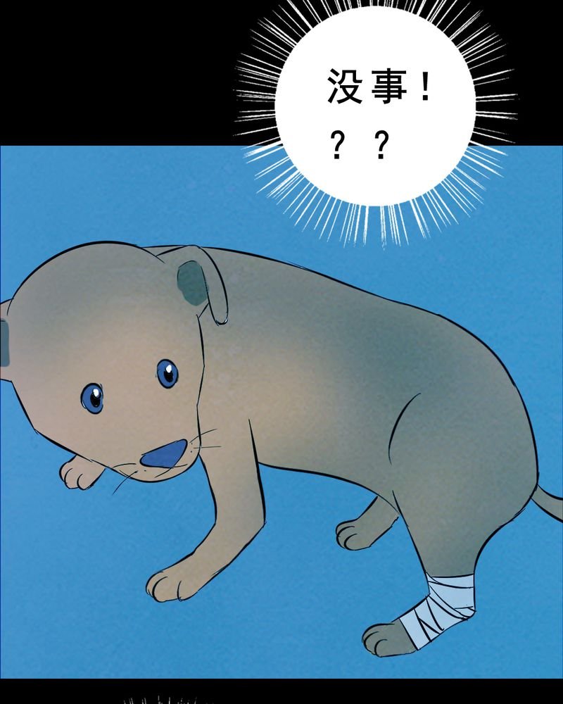 第27章：小笨（三）