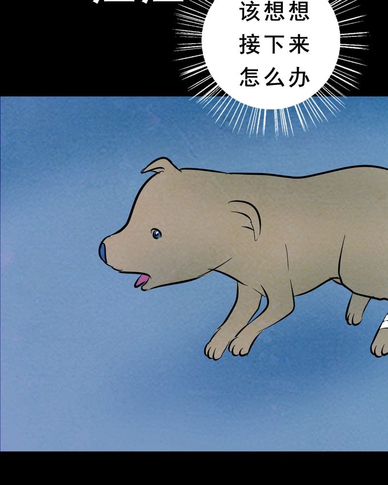 第27章：小笨（三）