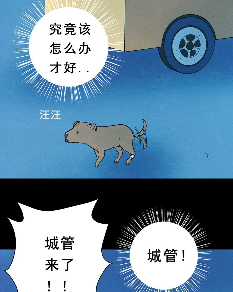 第27章：小笨（三）
