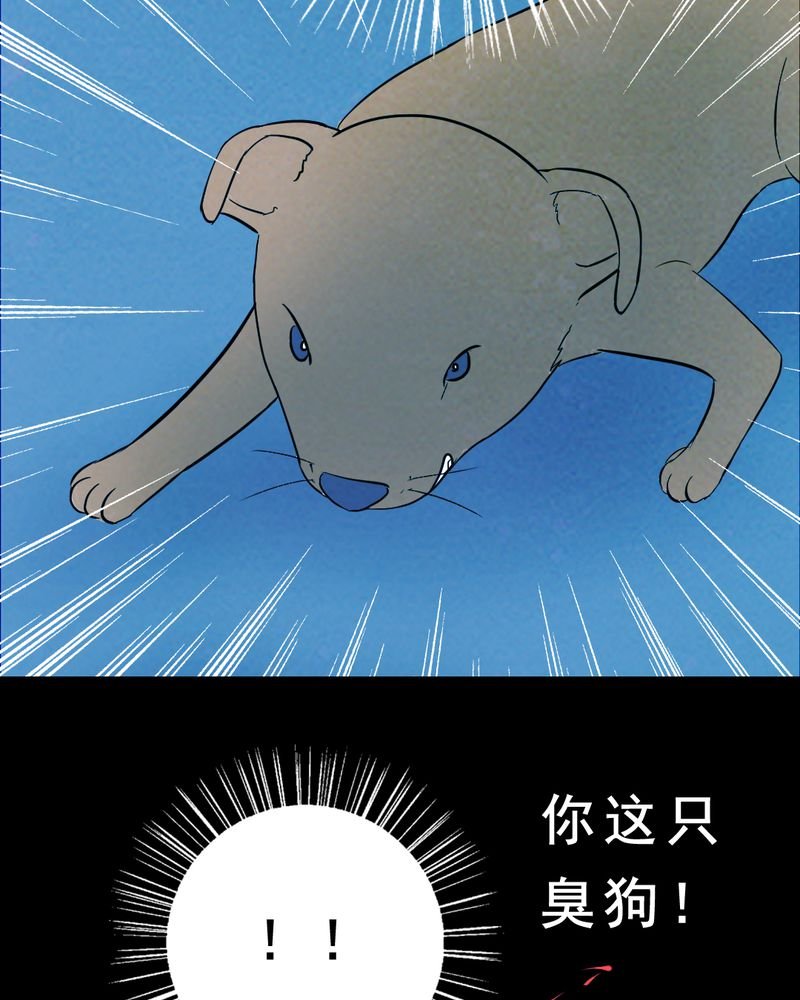 第27章：小笨（三）