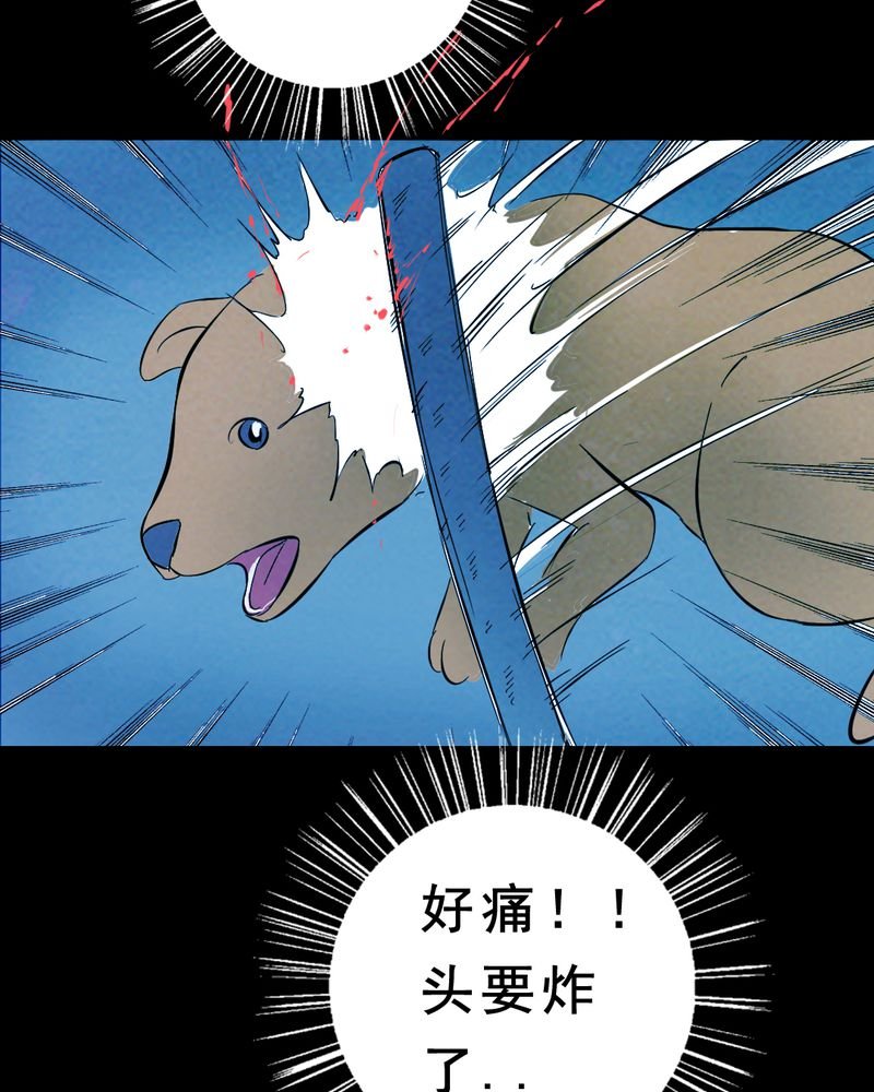 第27章：小笨（三）