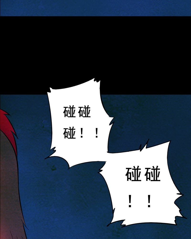 第28章：大鸡