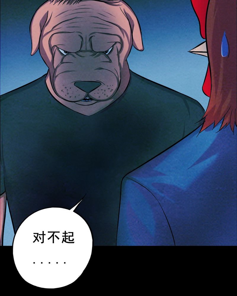 第28章：大鸡