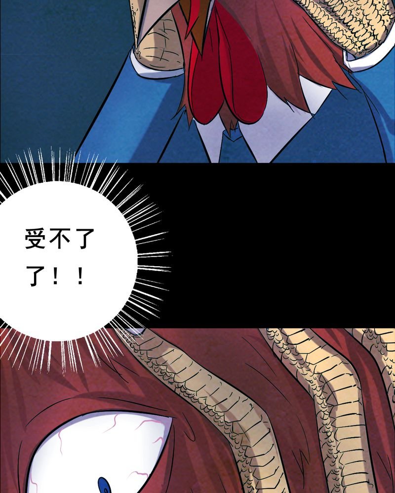 第28章：大鸡