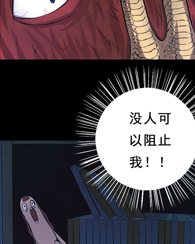 第28章：大鸡