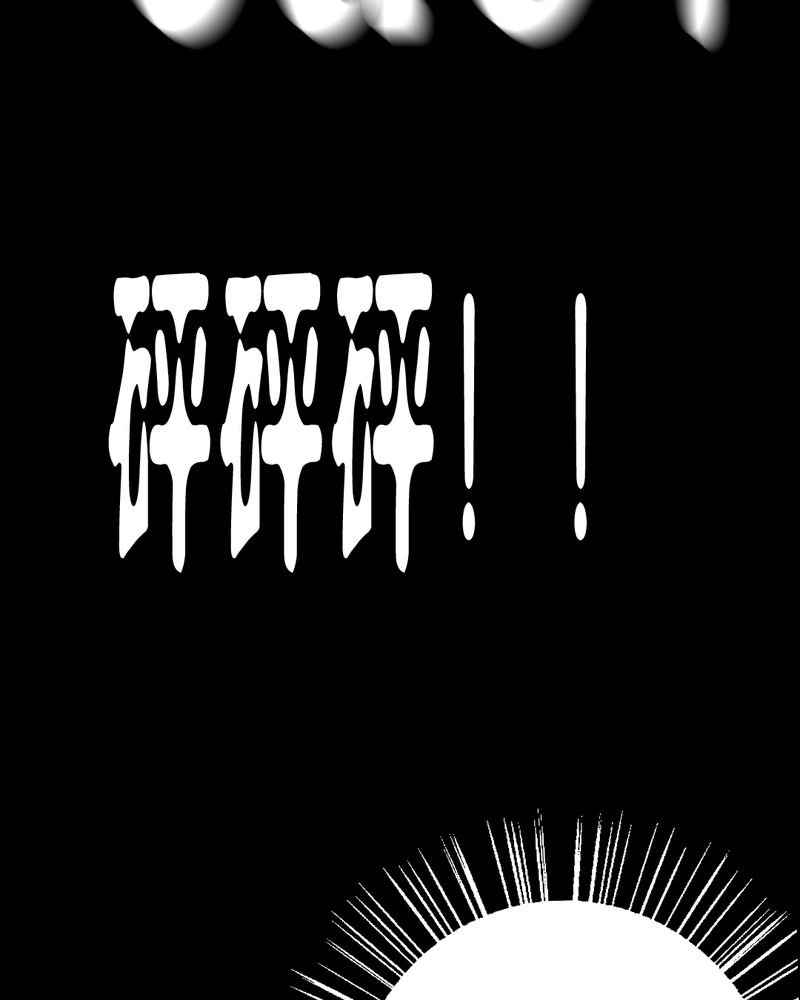 第28章：大鸡