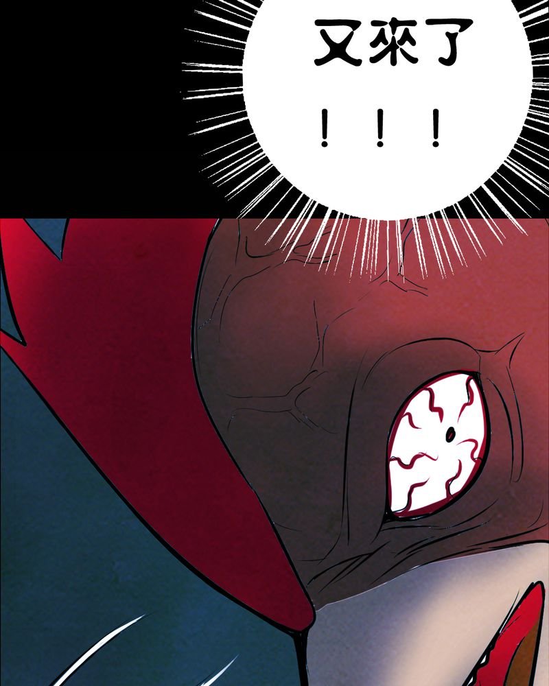 第28章：大鸡
