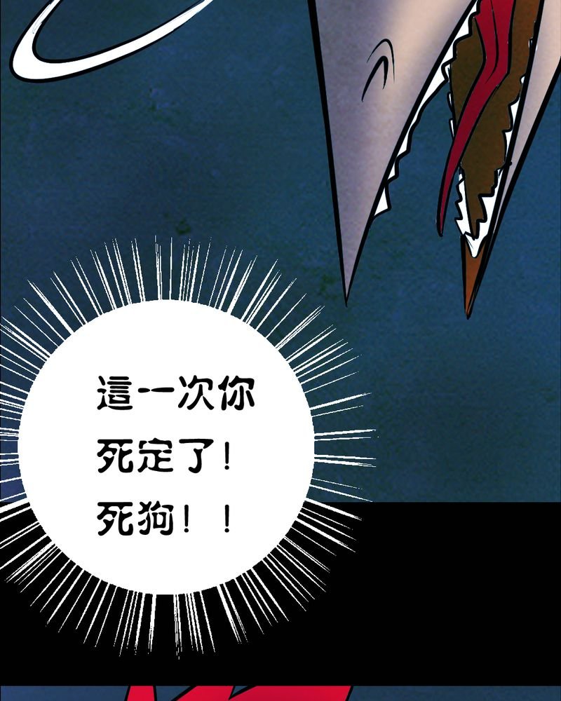 第28章：大鸡