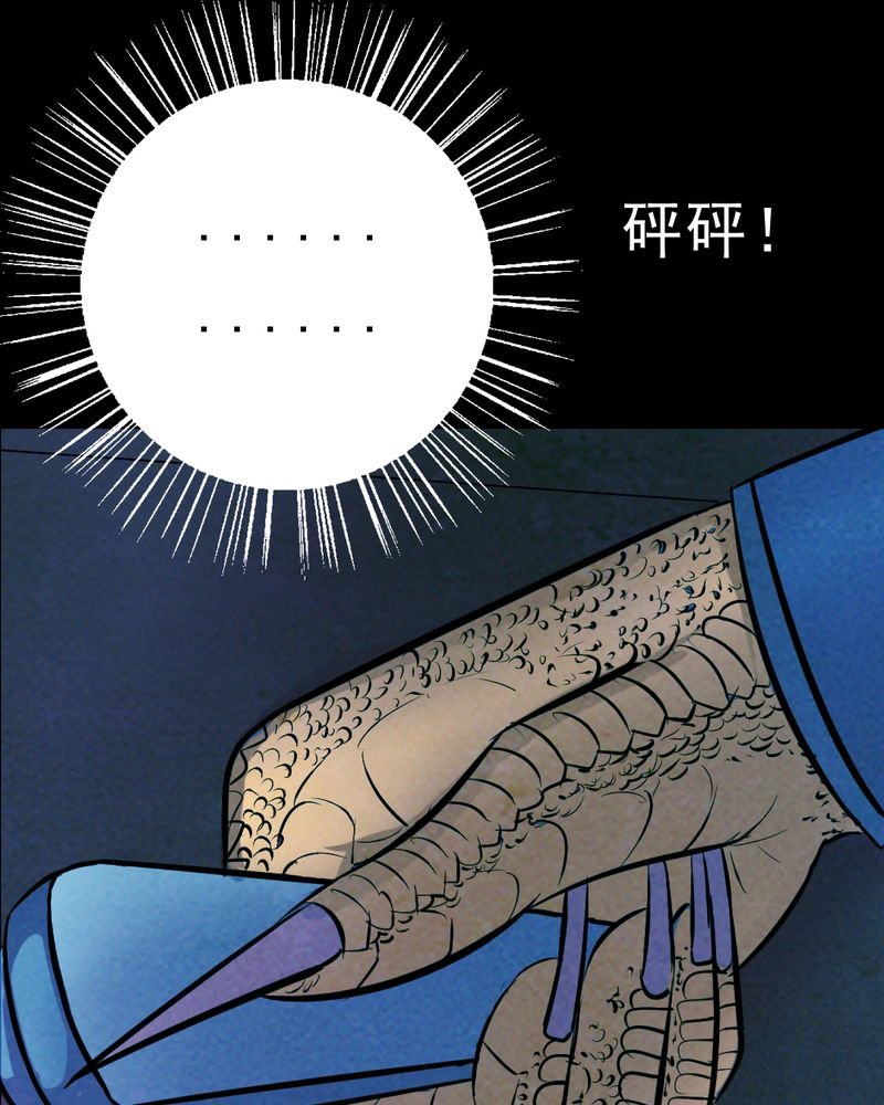 第28章：大鸡