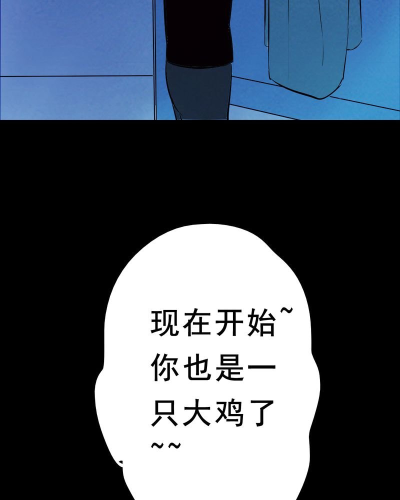 第28章：大鸡