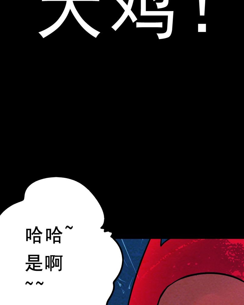 第28章：大鸡
