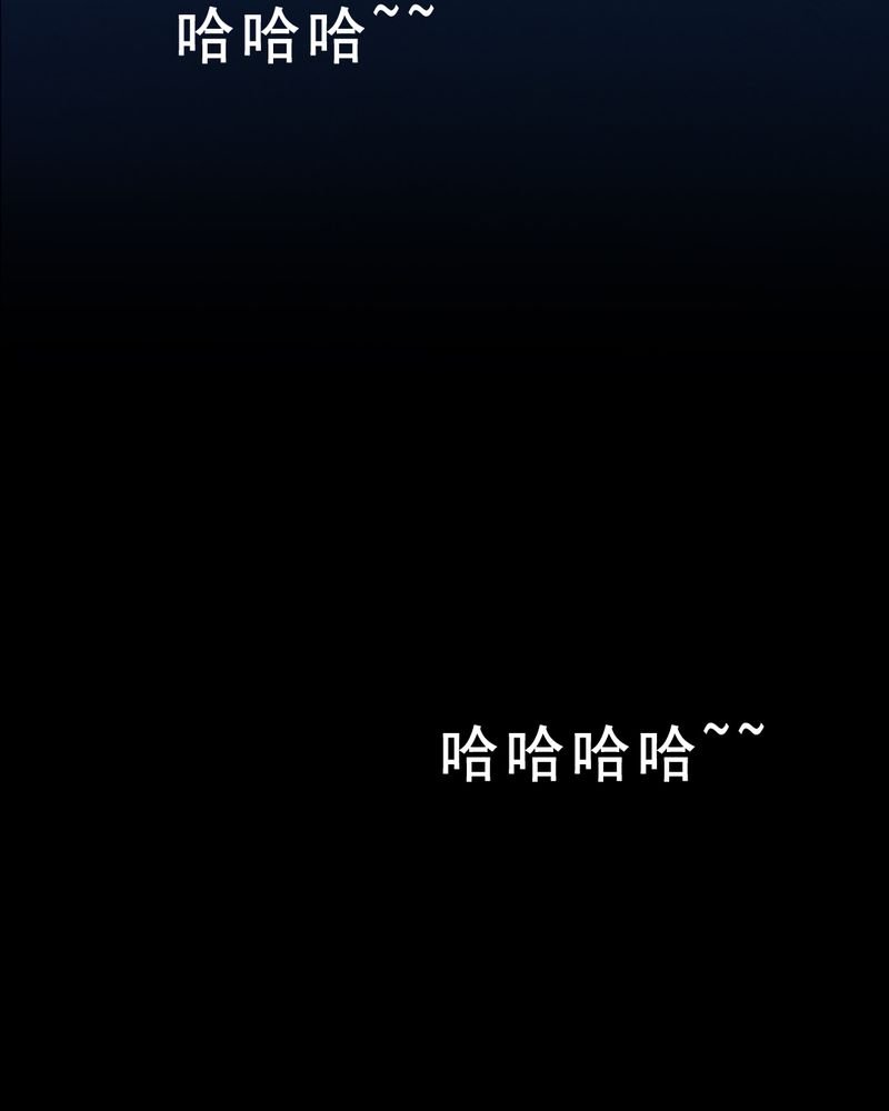 第28章：大鸡