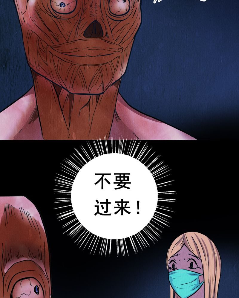 第3章：解剖（三）