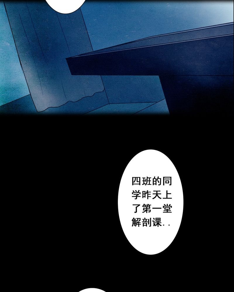 第3章：解剖（三）