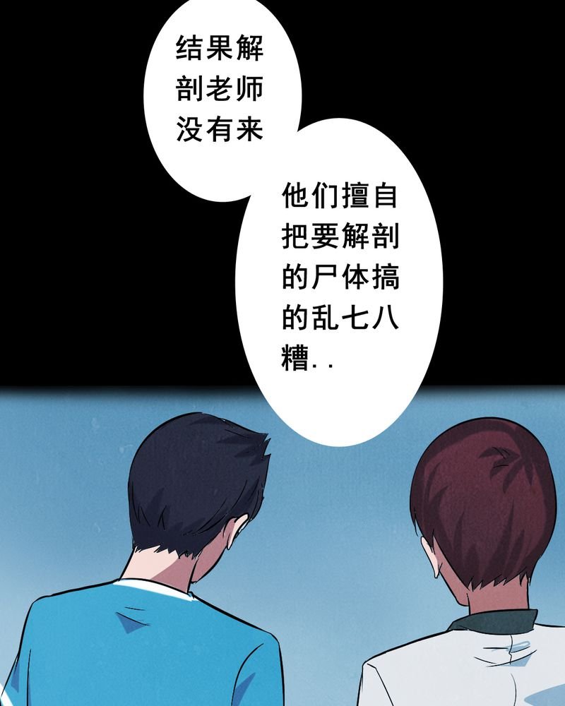 第3章：解剖（三）