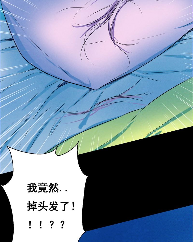 第33章：复仇（一）