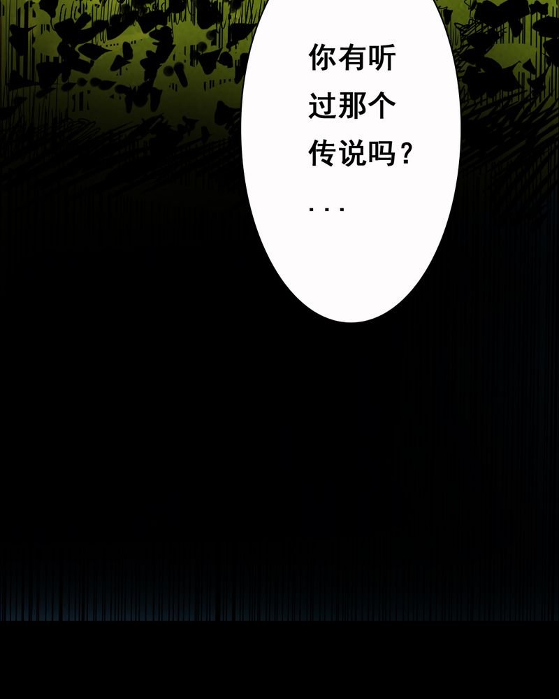 第35章：复仇（三）