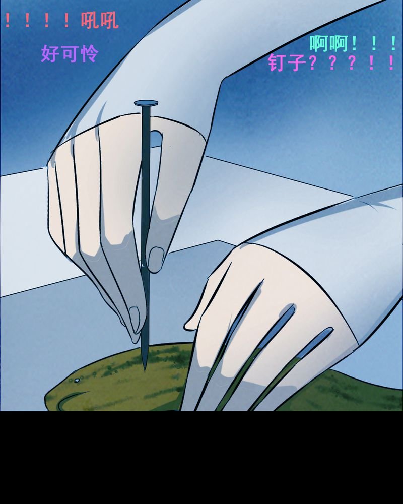 第36章：黄鳝（一）