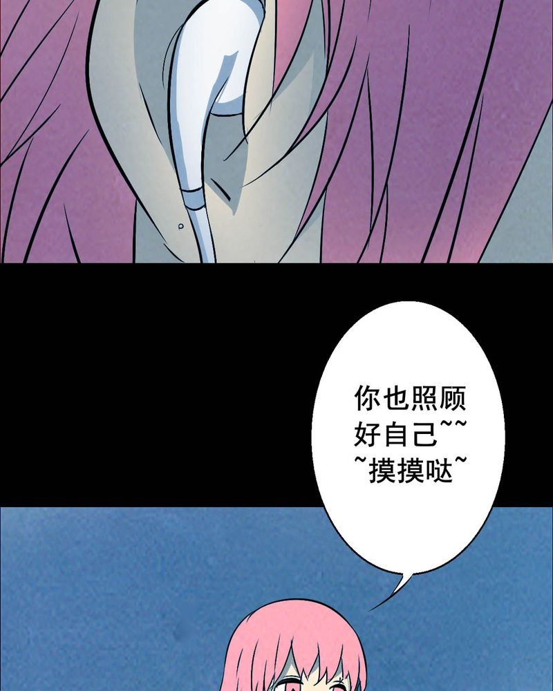 第46章：红杏（一）
