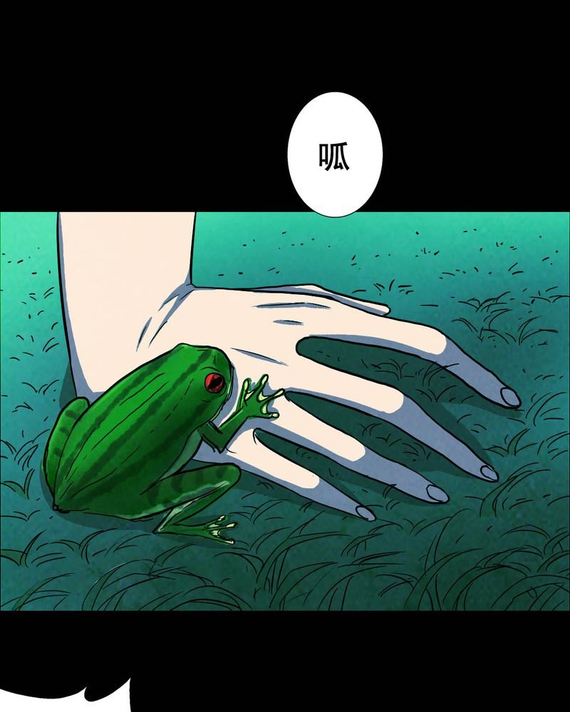 第50章：青蛙（一）