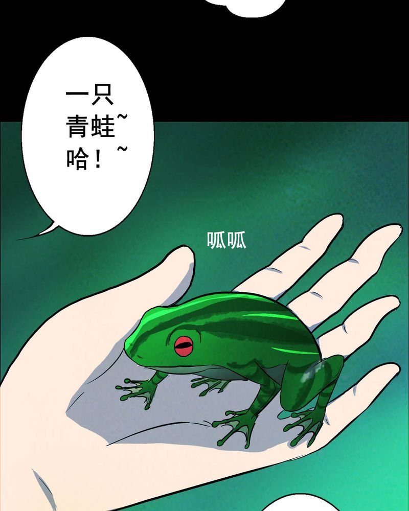 第50章：青蛙（一）