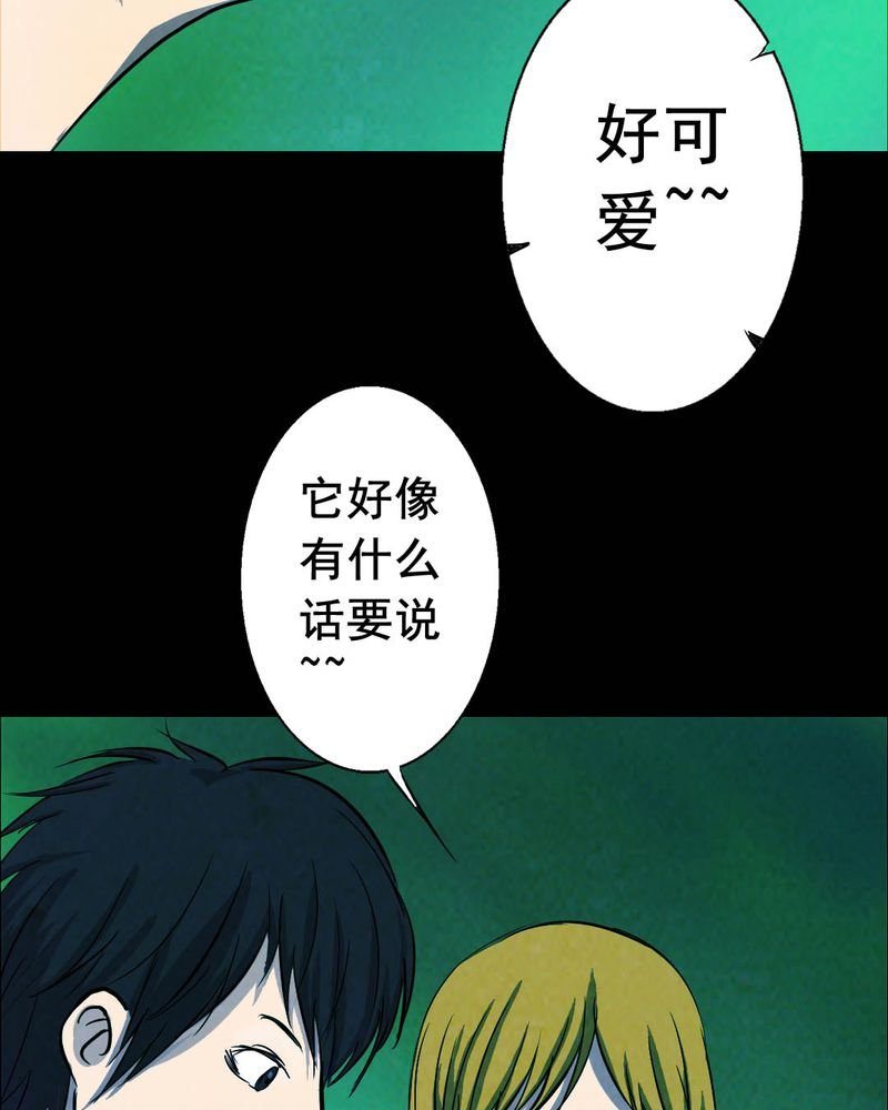 第50章：青蛙（一）
