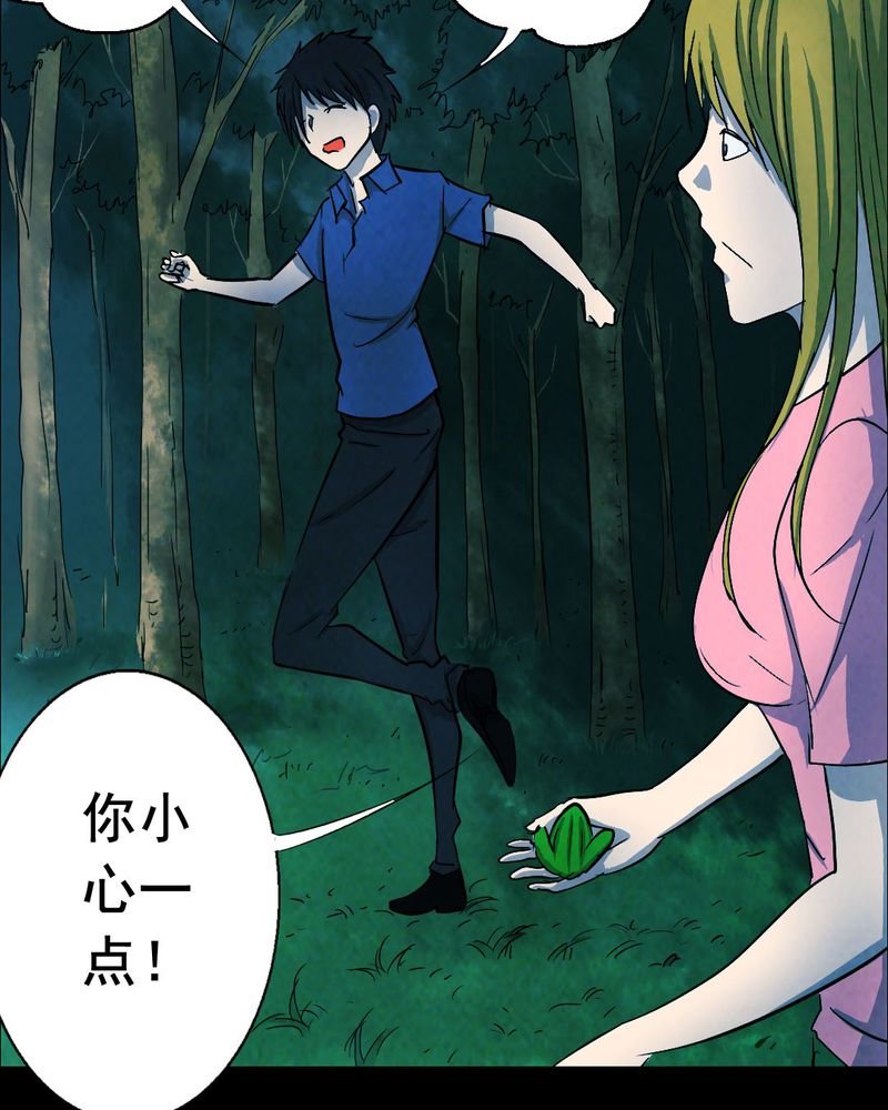 第50章：青蛙（一）