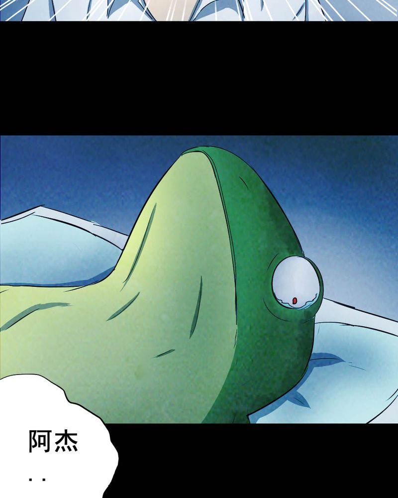 第54章：青蛙（五）