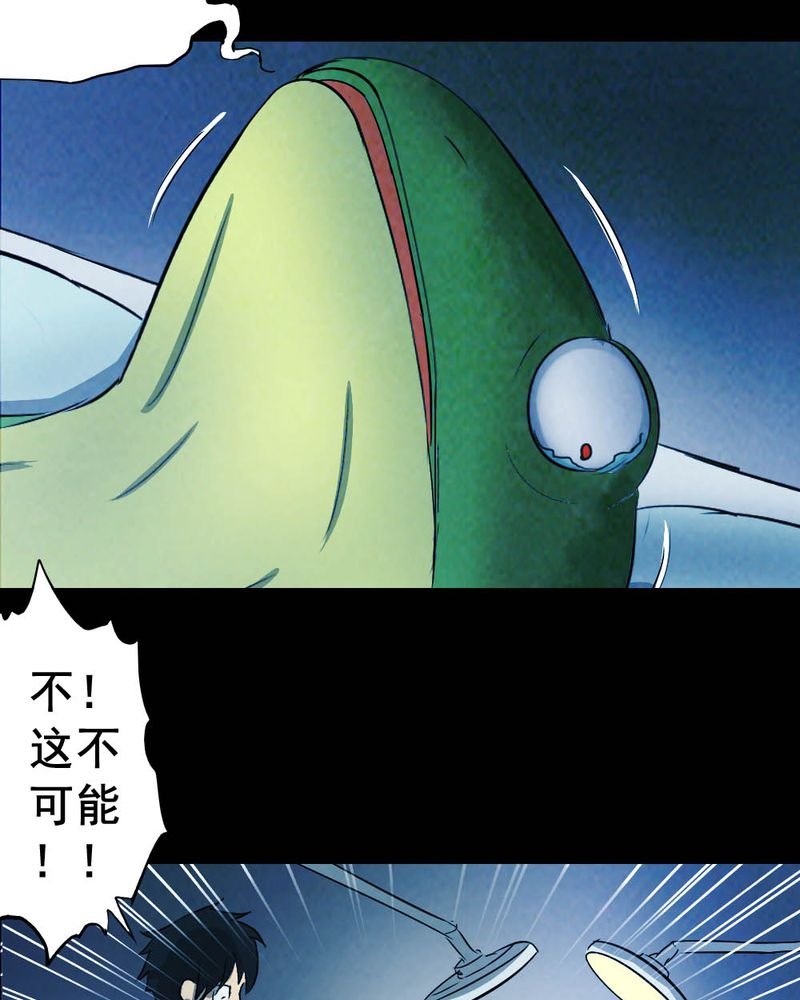 第54章：青蛙（五）