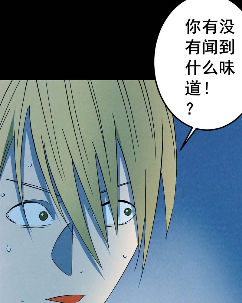 第58章：夏天（四）