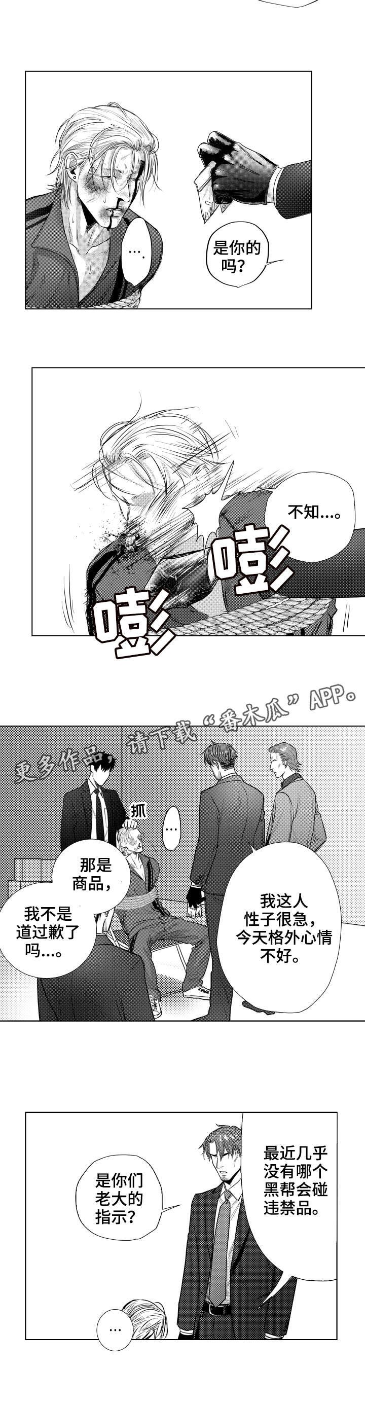 第25章：指示