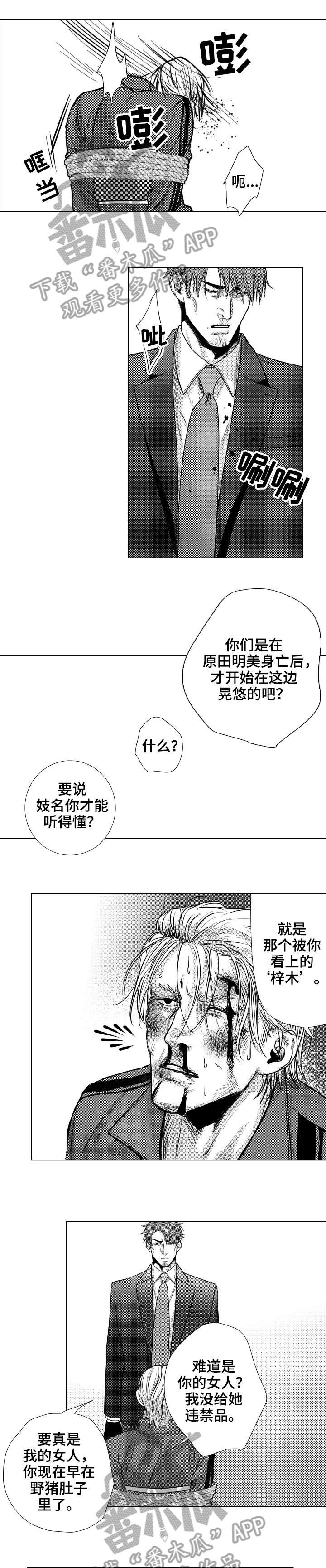 第26章：电话