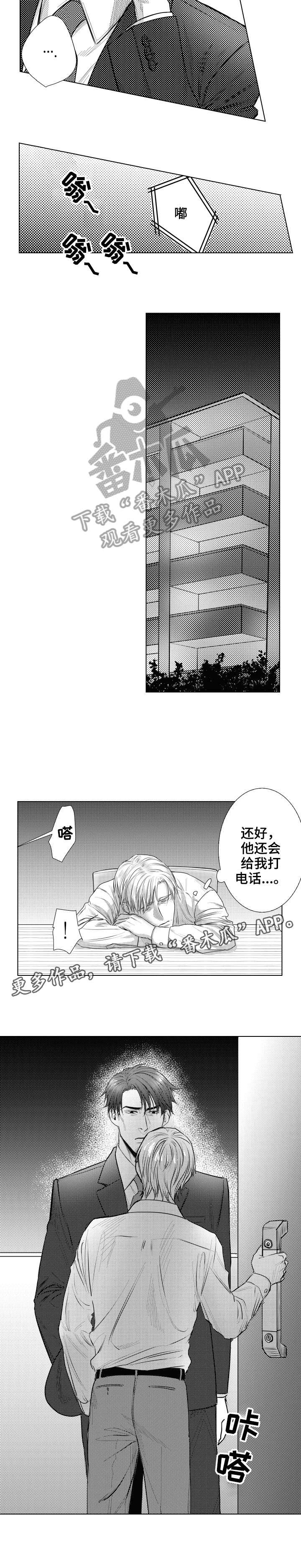 第26章：电话