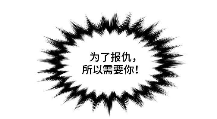 第11章：利用