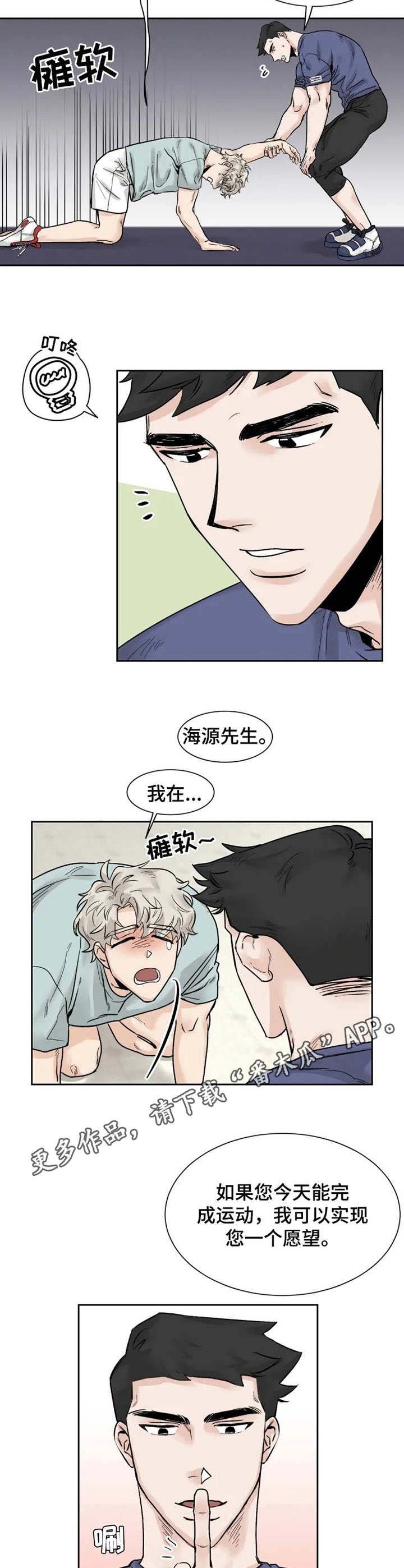 第17章：愿望