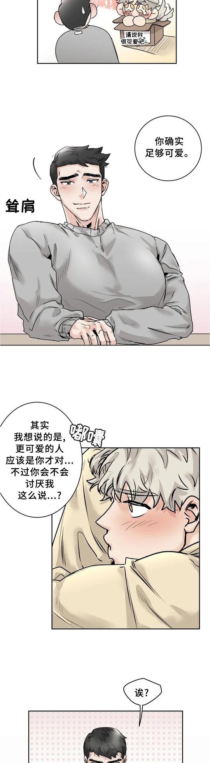 第29章：【完结】我喜欢你