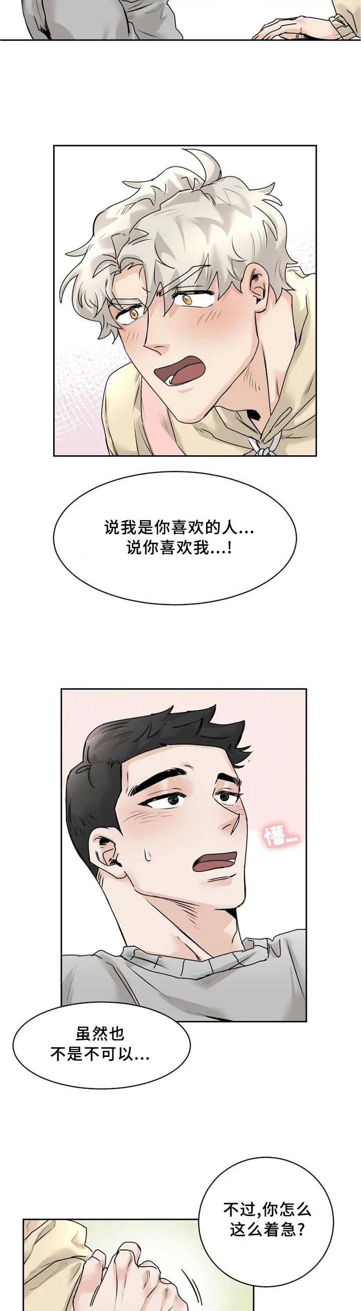 第29章：【完结】我喜欢你