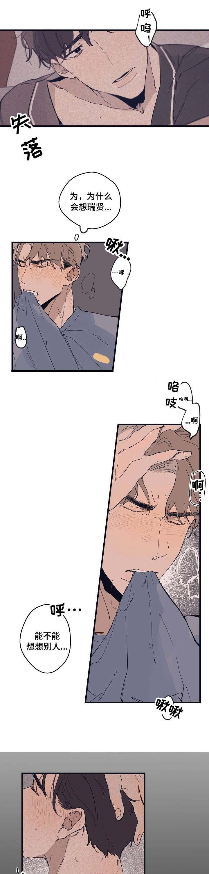 第12章：试样