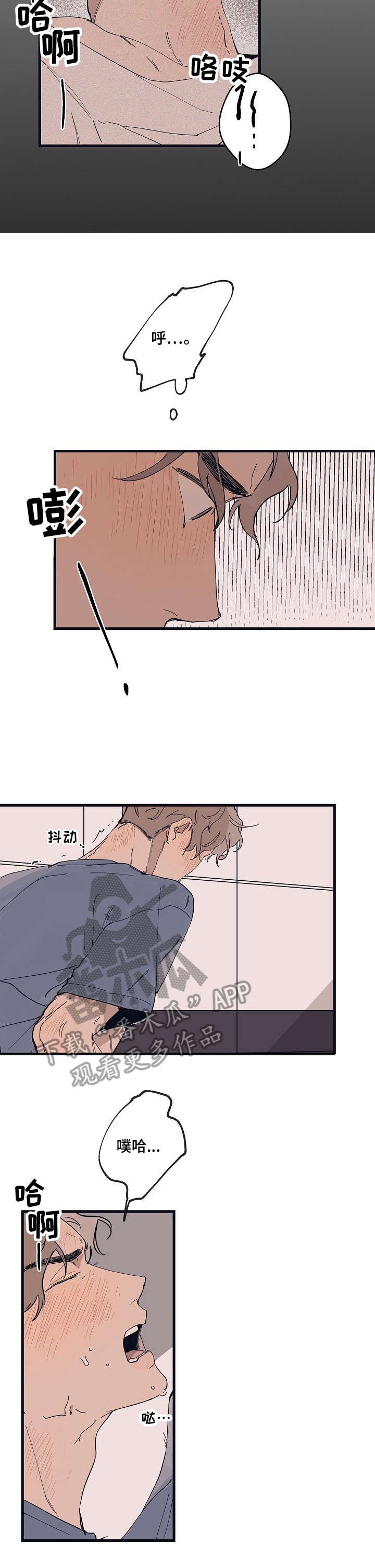 第12章：试样